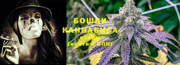 ГАЛЛЮЦИНОГЕННЫЕ ГРИБЫ Алексеевка